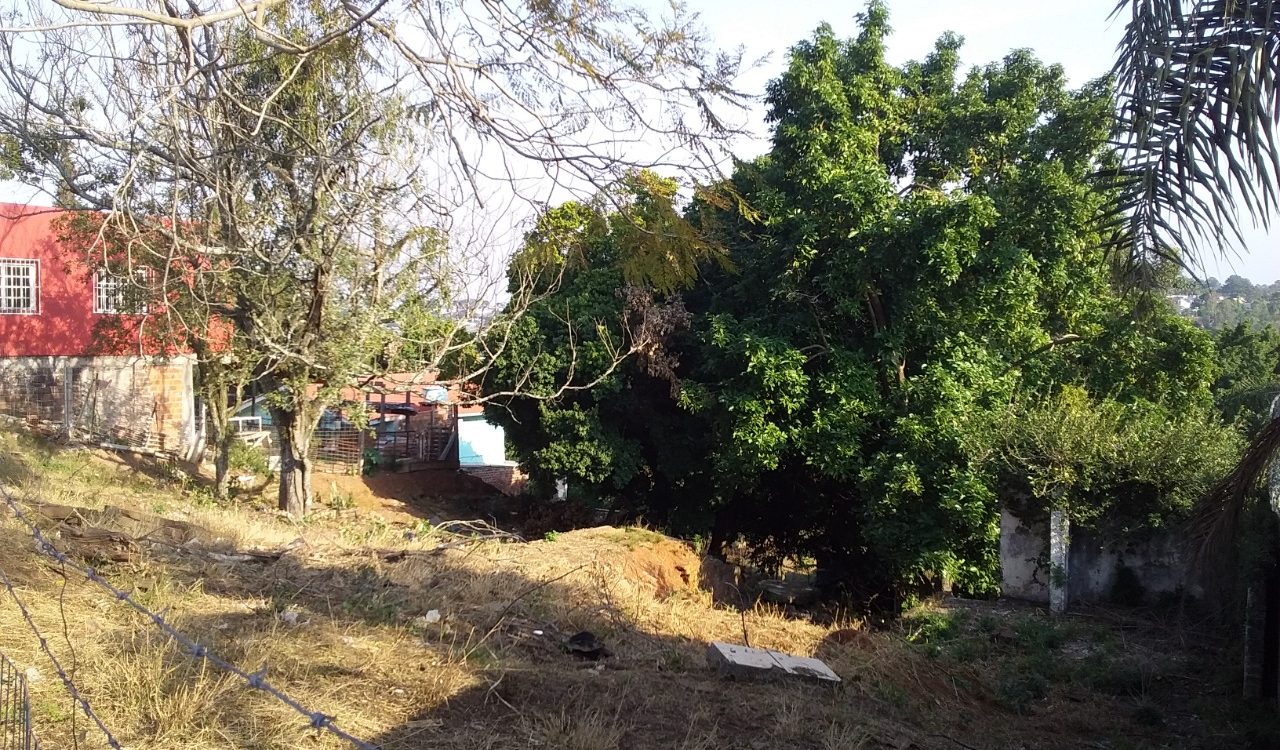 3 Terrenos - Bairro Rondônia NH (1)