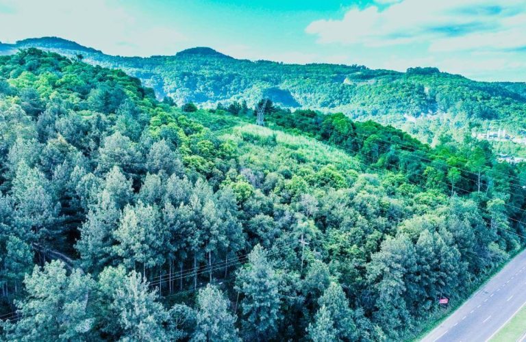 Terreno em Campo Bom