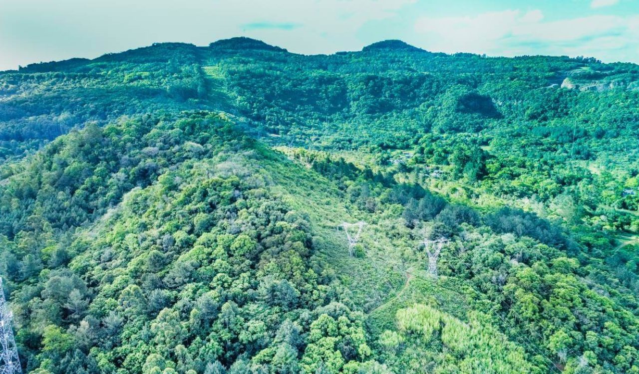 Terreno em Campo Bom (3)