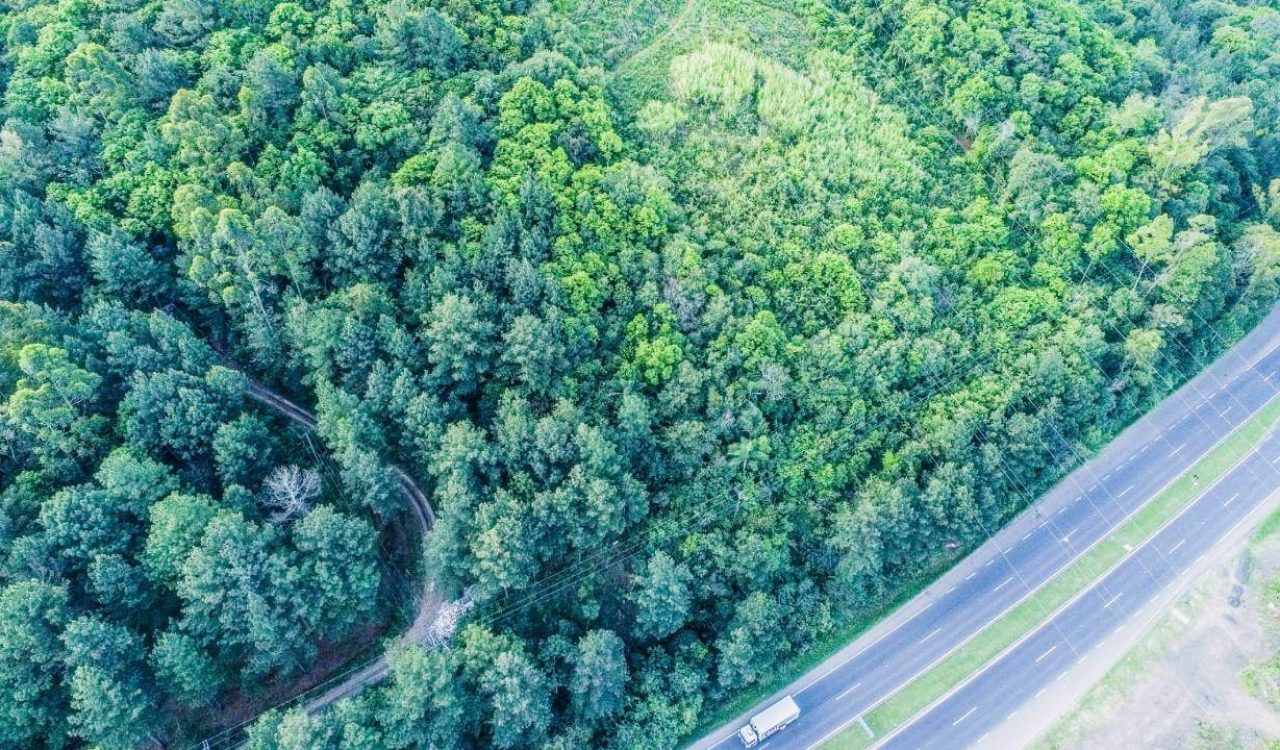 Terreno em Campo Bom (5)