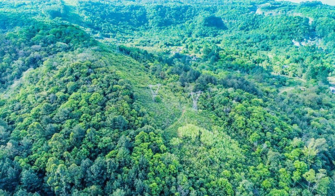 Terreno em Campo Bom (7)